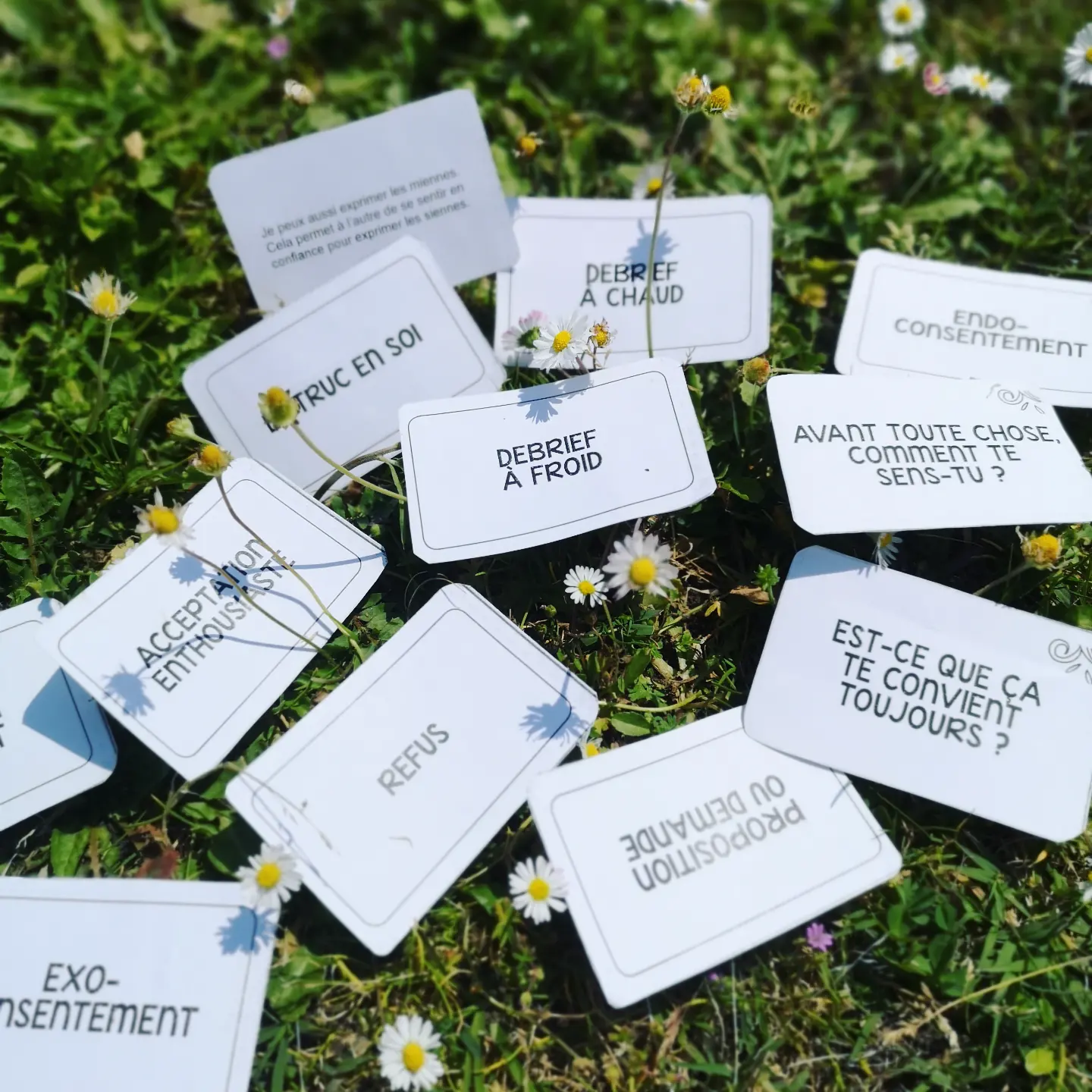 Cartes de la Fresque du Consentement posées sur l'herbe avec des pâquerettes